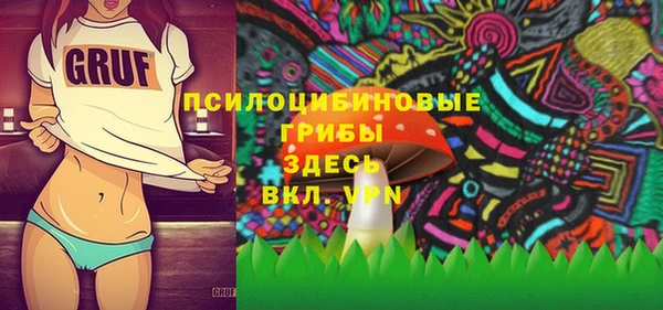 PSILOCYBIN Абаза