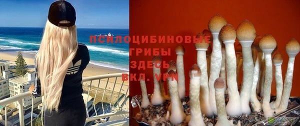 PSILOCYBIN Абаза