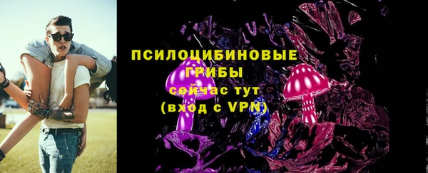 PSILOCYBIN Абаза