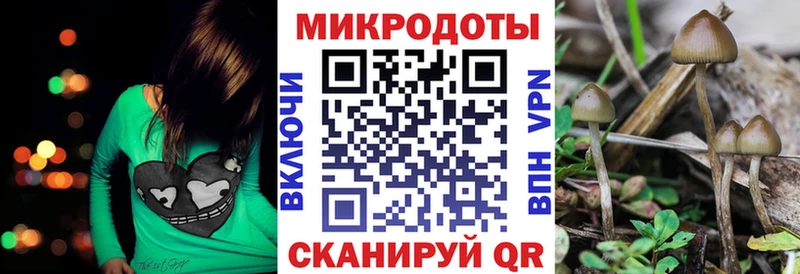 продажа наркотиков  Красноперекопск  Псилоцибиновые грибы прущие грибы 