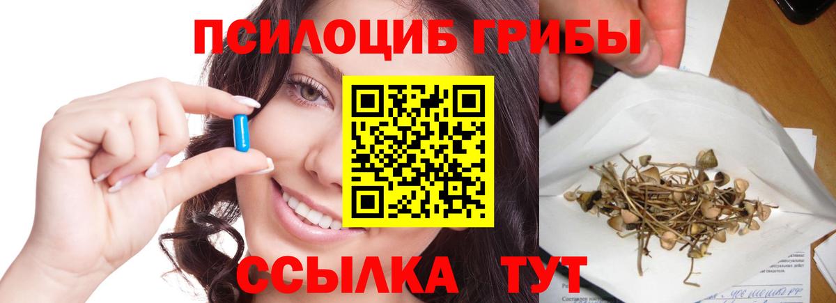 закладка  Псилоцибиновые грибы Psilocybe  Вход с VPN  Псилоцибиновые грибы мицелий  Красноперекопск 